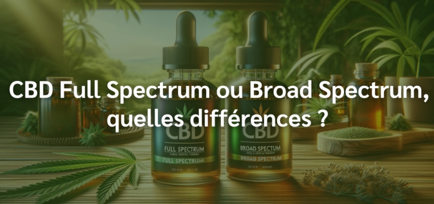 CBD Full Spectrum ou Broad Spectrum, quelles différences ?