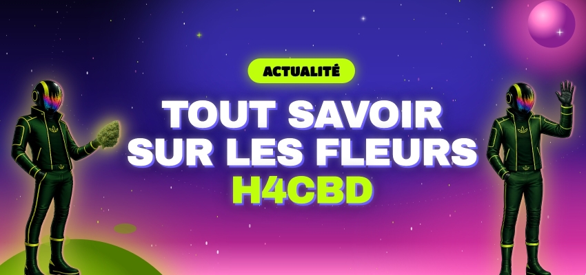 Tout savoir sur les fleurs H4CBD