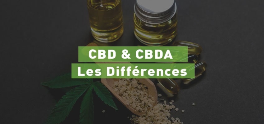 CBD et CBDA : les différences 