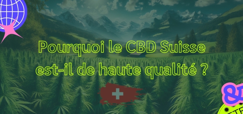 Pourquoi le CBD Suisse est-il de haute qualité ?