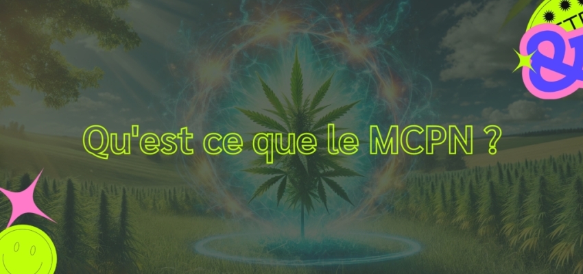 Qu'est ce que le MCPN, cette nouvelle formule de cannabinoïdes?