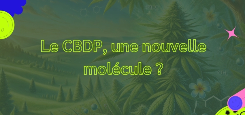 Le CBDP, une nouvelle molécule ?