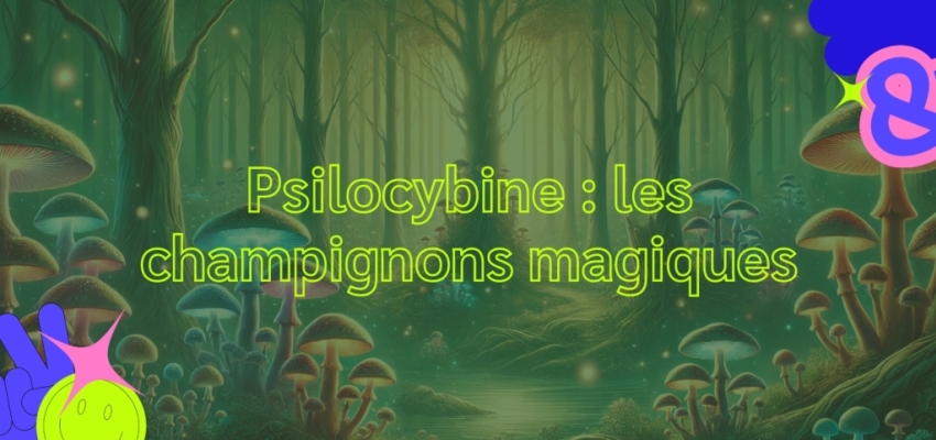 Psilocybine : les champignons magiques