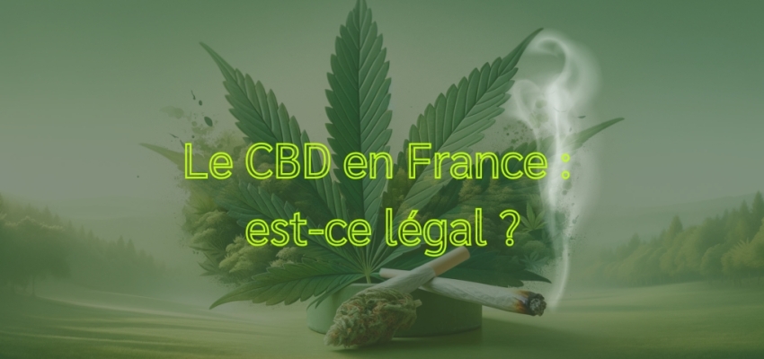 Le CBD en France : est-ce légal ?