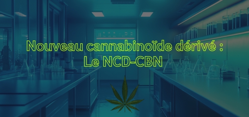 Nouveau cannabinoïde dérivé : Le NCD-CBN débarque chez le CBD Discount