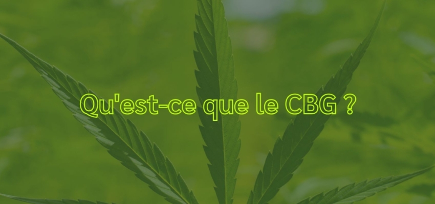 Qu'est-ce que le CBG ?