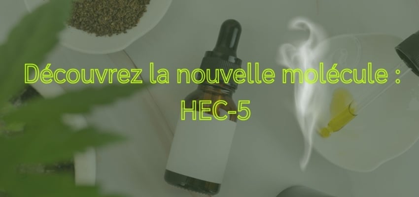 HEC-5 : Une innovation sur le marché des cannabinoïdes