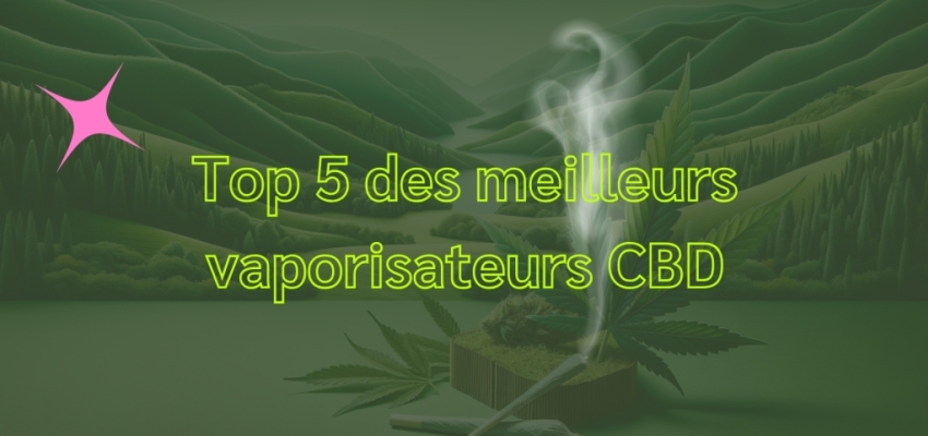 Top 5 des meilleurs vaporisateurs CBD